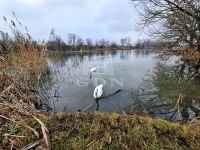Budapest XXIII. kerület Családi ház