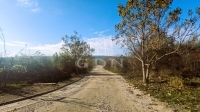 Budapest II. kerület Telek